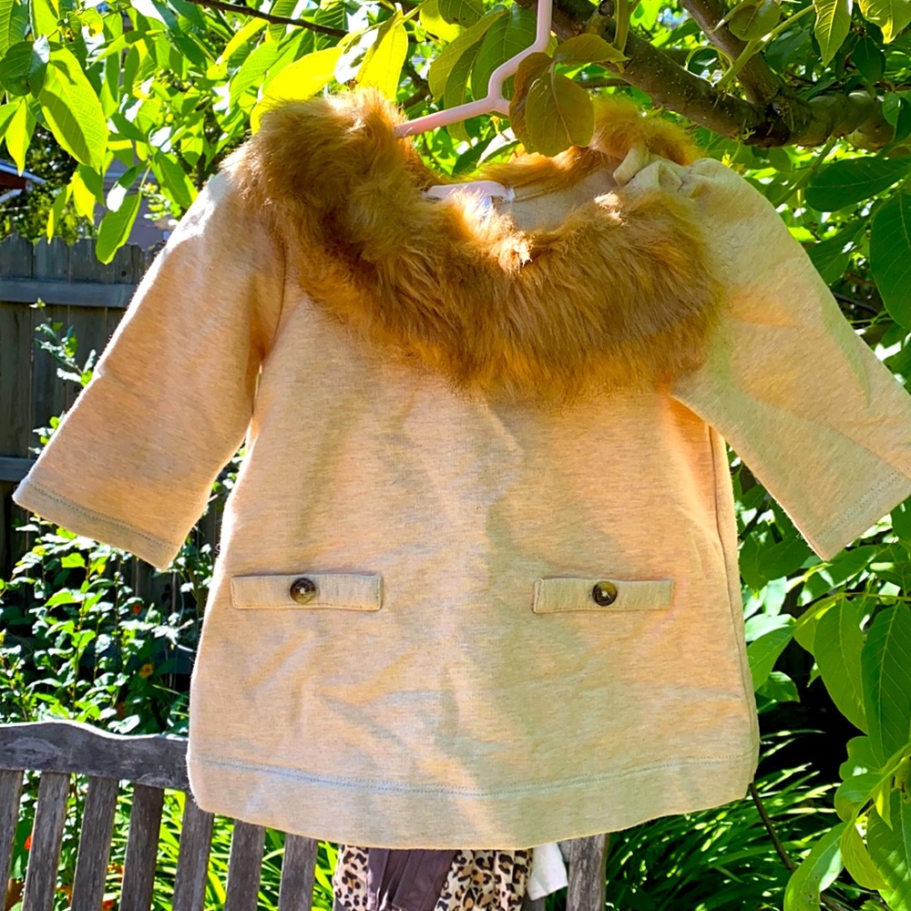 Beautiful fall dress with faux fur shawl collar.